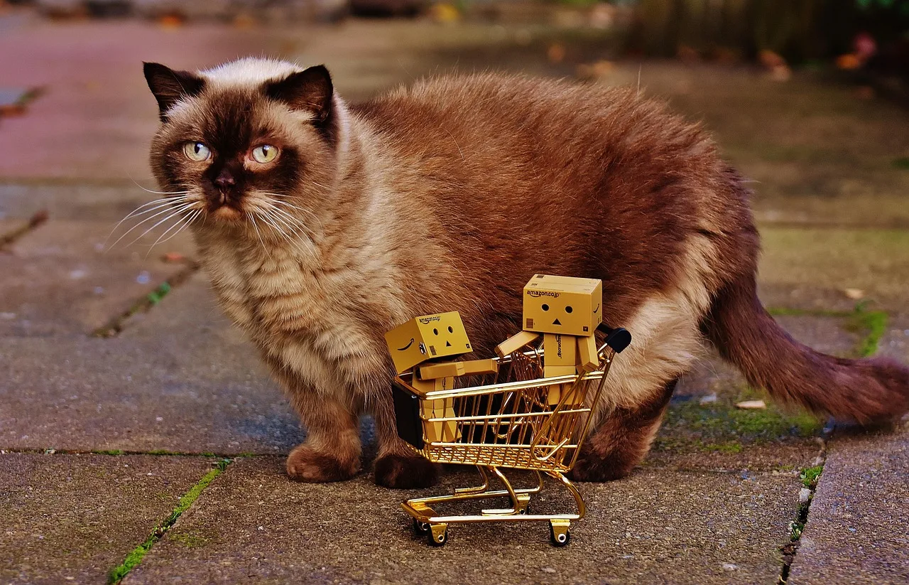 danbo, pet, characters, animal, shopping venture, shopping, cat, curious, british shorthair, together, as a couple, fun, friendship, cute, advent season, gifts, christmas gifts, to ship, packages, parcel, send